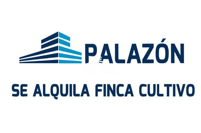 Terreno en Alquiler en Crevillent