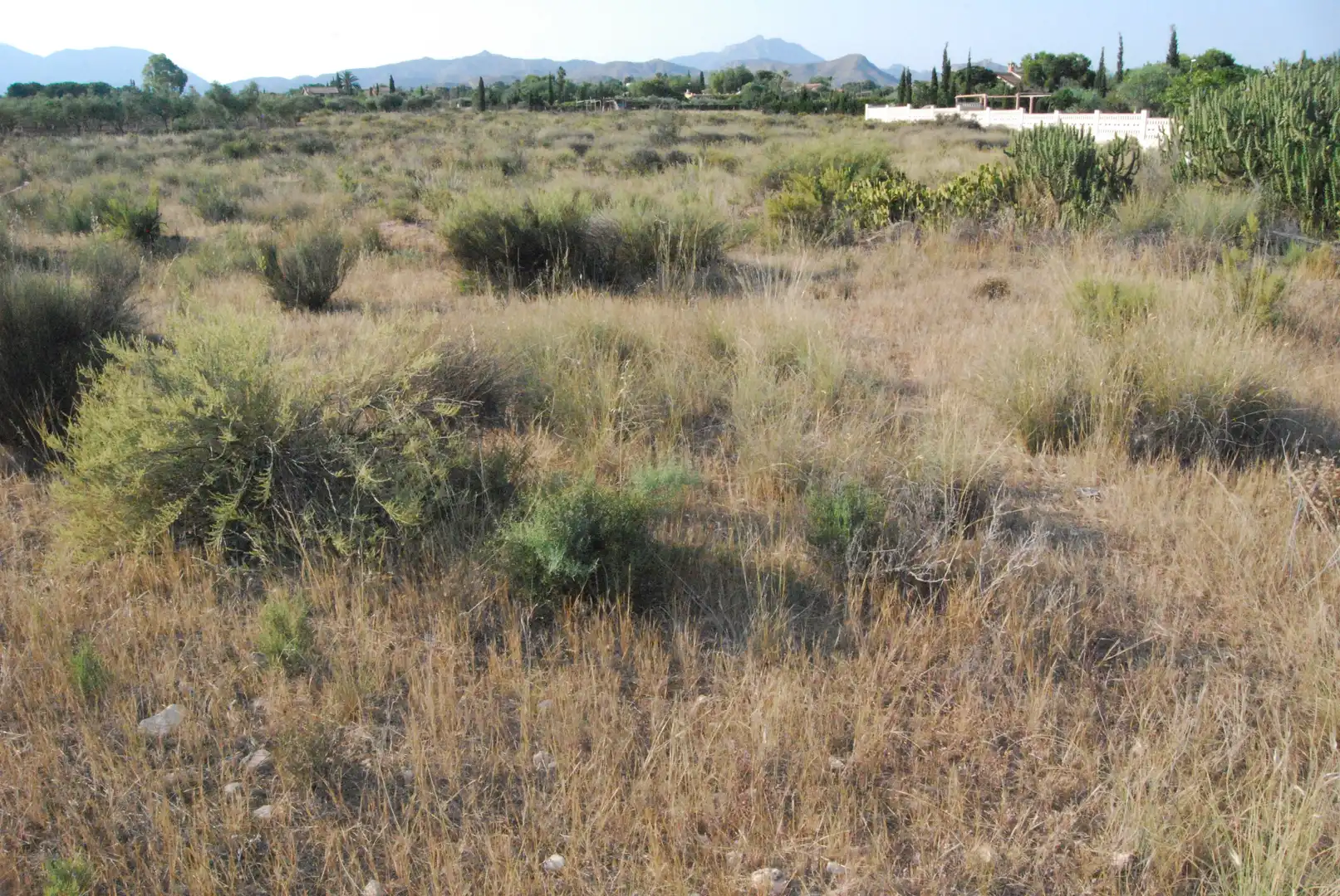 Rural land for sale in Villamontes - Boqueres, imagen 8