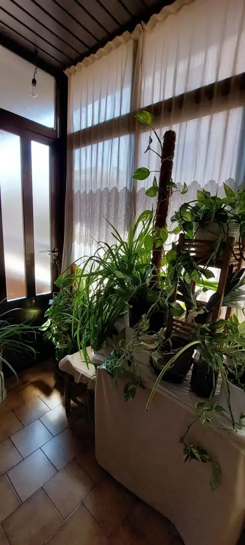 Jardín de Piso en venta en Ciudad Real con Aire acondicionado y Calefacción