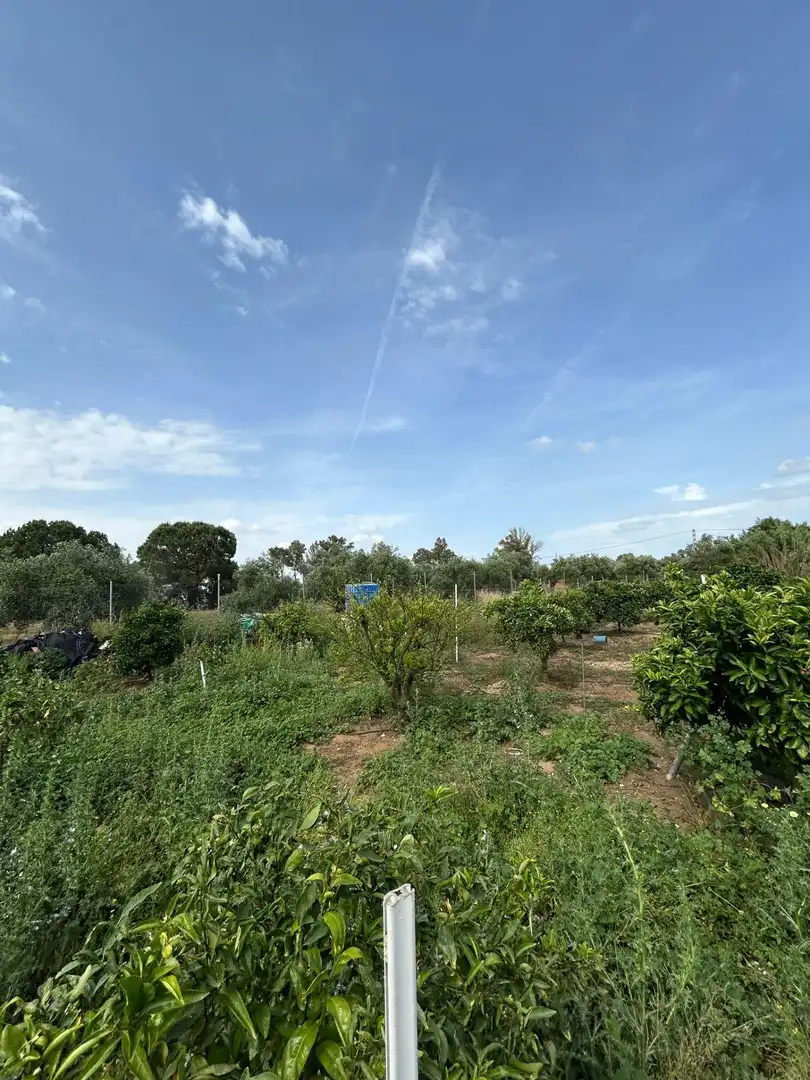 Finca rústica en venta en Utrera