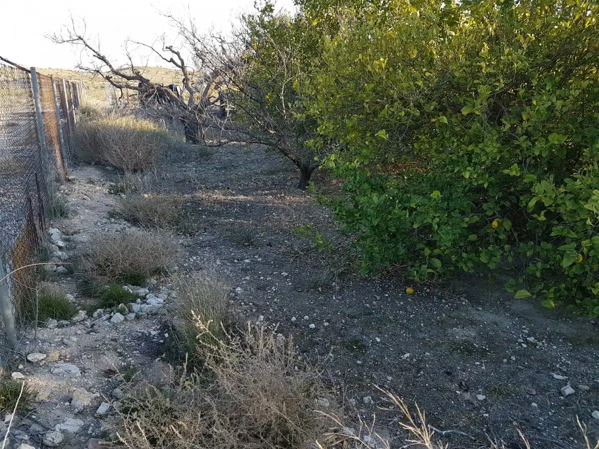 Finca rústica en venta en Ulea