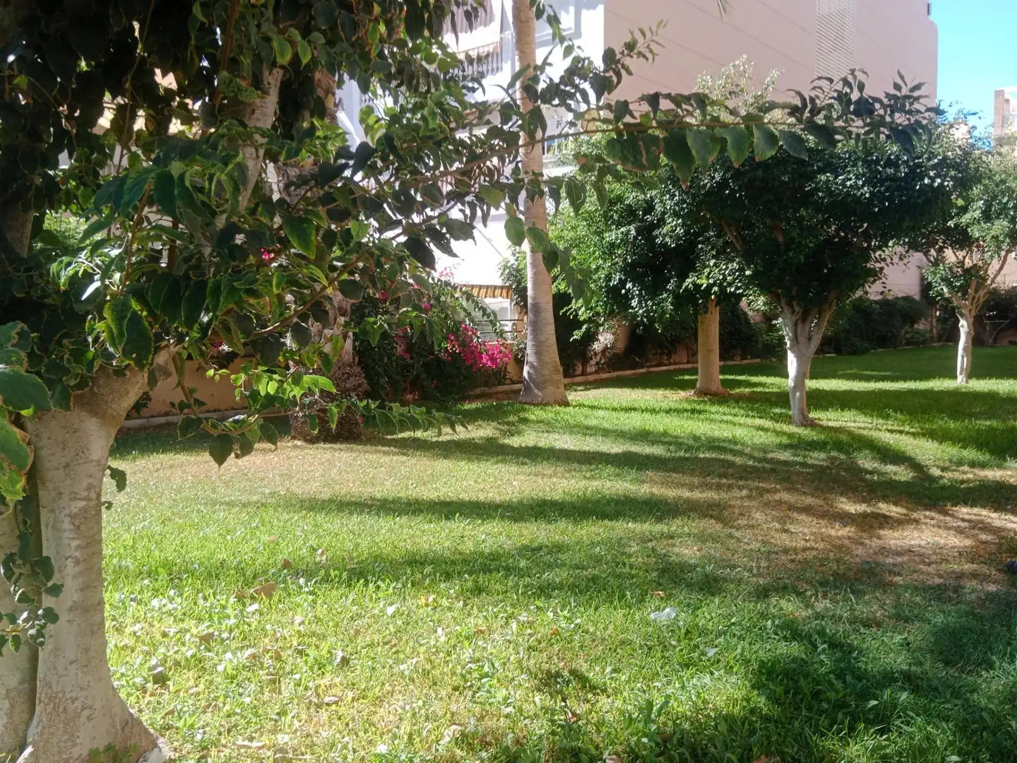 Jardín de Piso en venta en Rincón de la Victoria con Aire acondicionado, Terraza y Piscina comunitaria