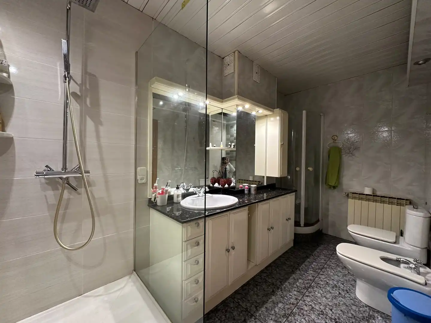 Bathroom of Flat for sale in Zona Industrial
