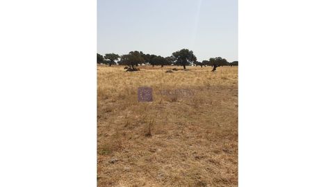 FINCA GANADERA DE UNAS 600 HECTÁREAS EN LA ZONA DE ALCUÉSCAR, imatge 4