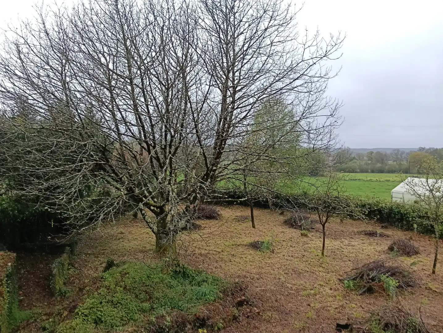 Adossat amb jardí en venda a Curtis, imagen 38