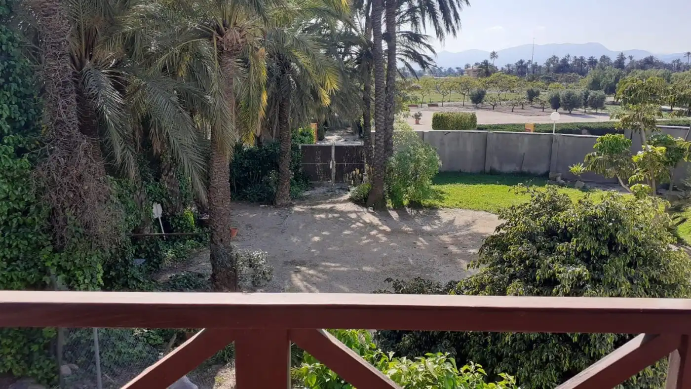 Jardí de Casa o xalet en venda en Elche / Elx amb Aire condicionat, Jardí privat i Terrassa