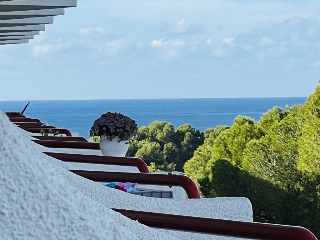 Exterior view of Apartment for sale in Calvià  with Terrace