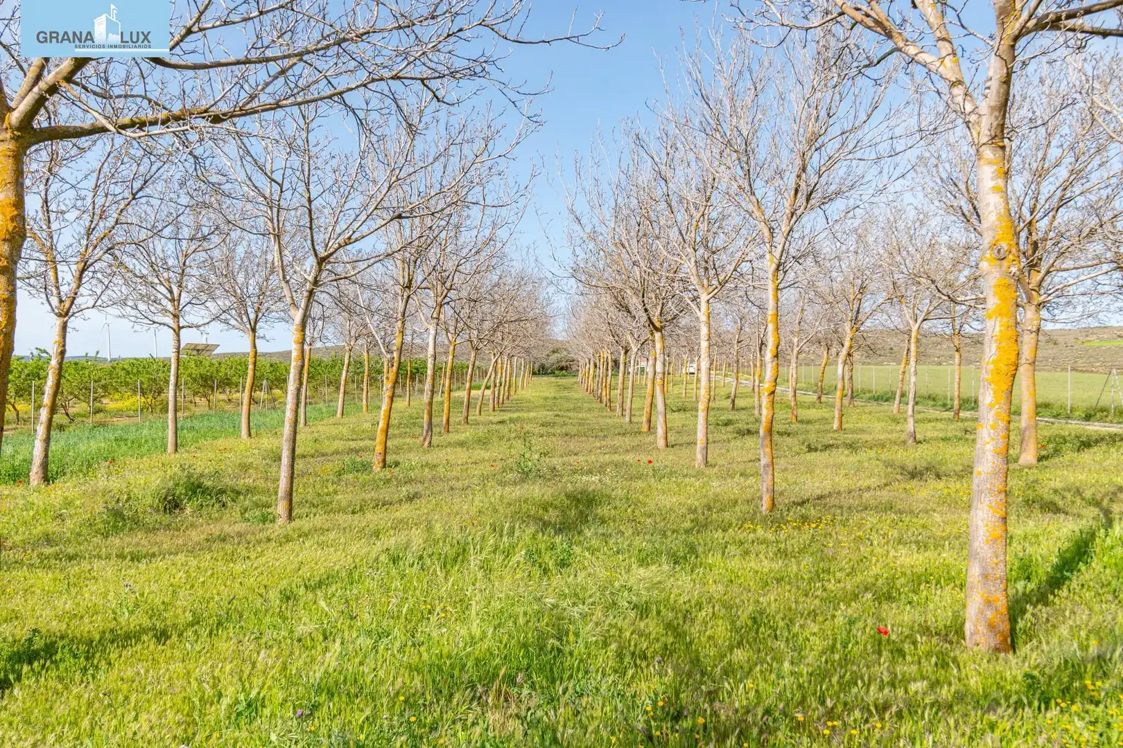 Rural land for sale in 18640, imagen 14