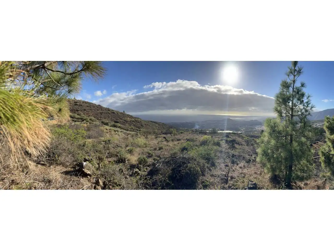 Rural land for sale in Camino Montesinas, imagen 16
