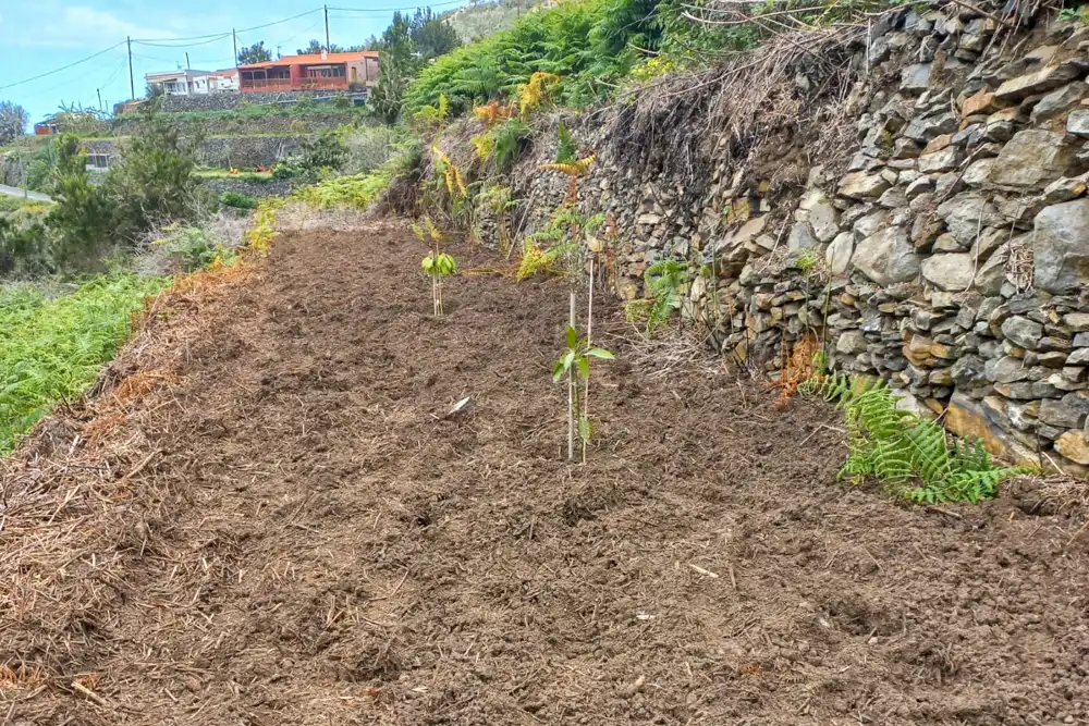 Casa rústica en venda a Carretera CV -5, imagen 68