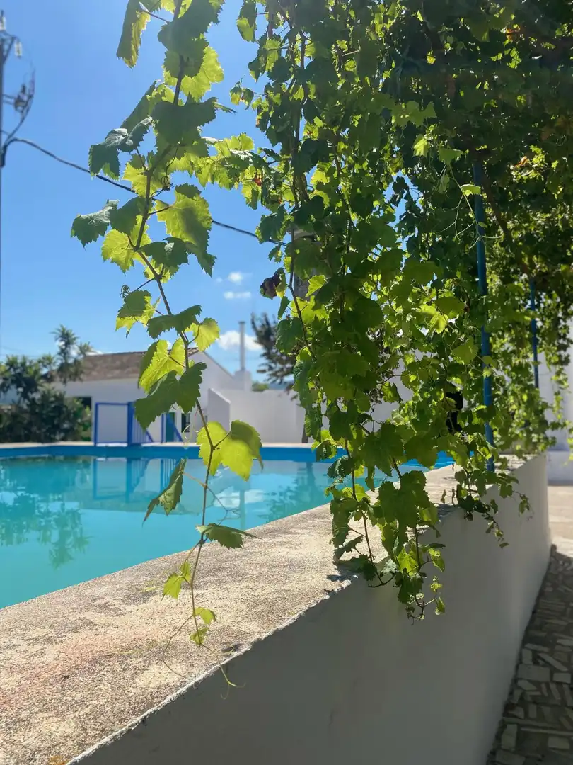 Piscina de Casa o chalet en venta en Beniarjó con Jardín privado, Terraza y Piscina
