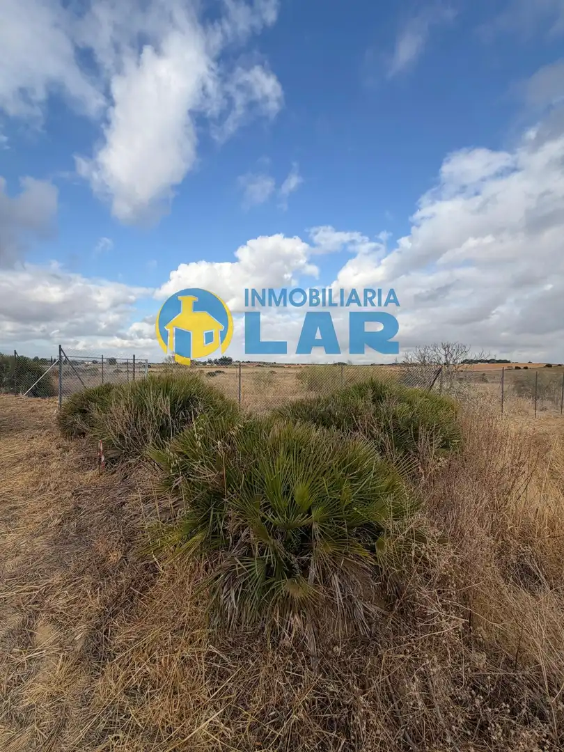 Land for sale in Niebla