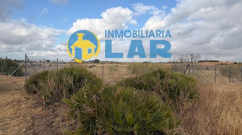 Photo 4 of Land for sale in Niebla, Huelva