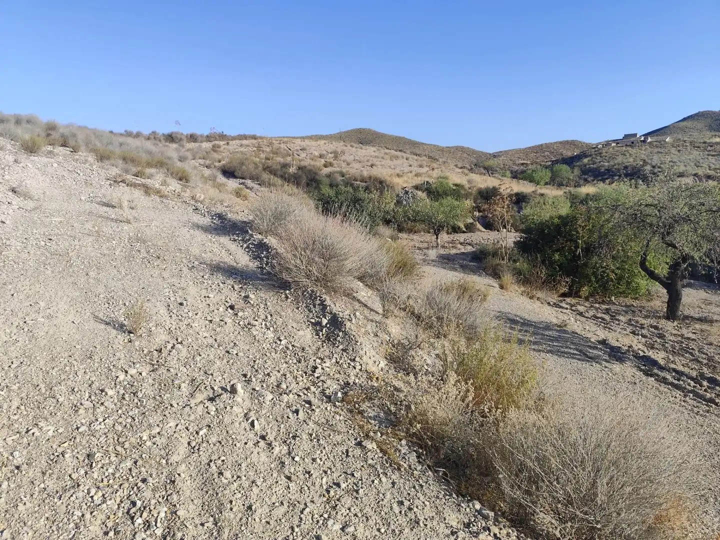 Terrains et parcelles à vendre à Pedanías Centro, imagen 9