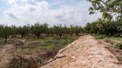 Foto 2 de Casa o xalet en venda a Calle Vereda, Las Cánovas - Cuevas de Reyllo, Fuente Álamo de Murcia