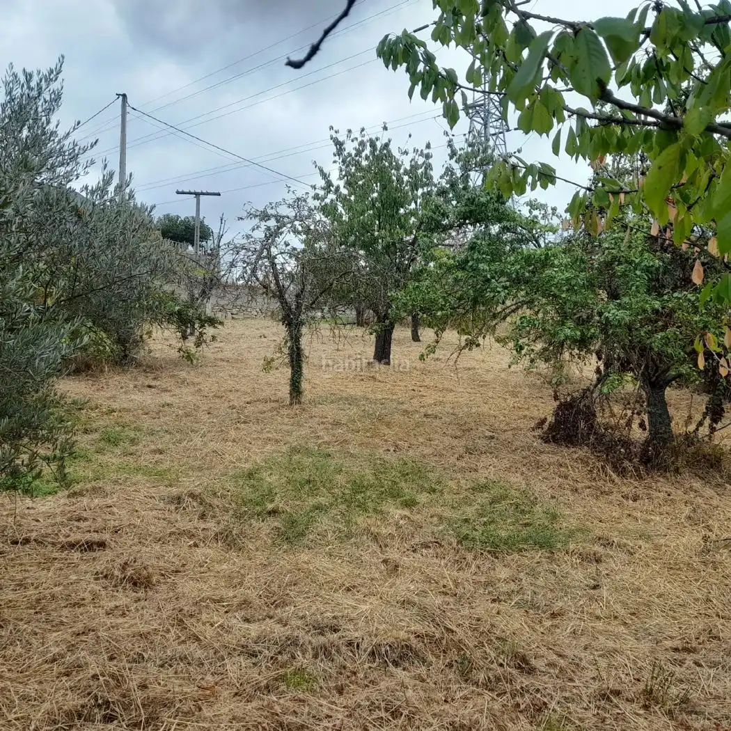 Residential land for sale in Calle Cigarrosa 11, imagen 3
