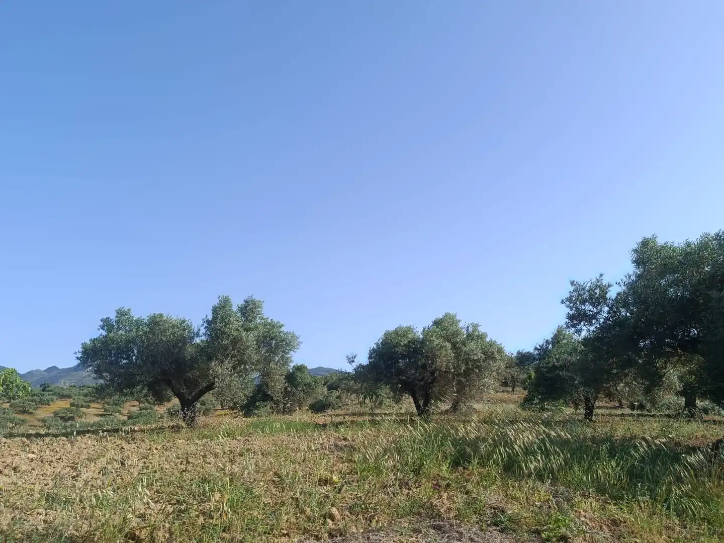 Terreni e lotti in vendita a Alquería - Torrealquería, imagen 12