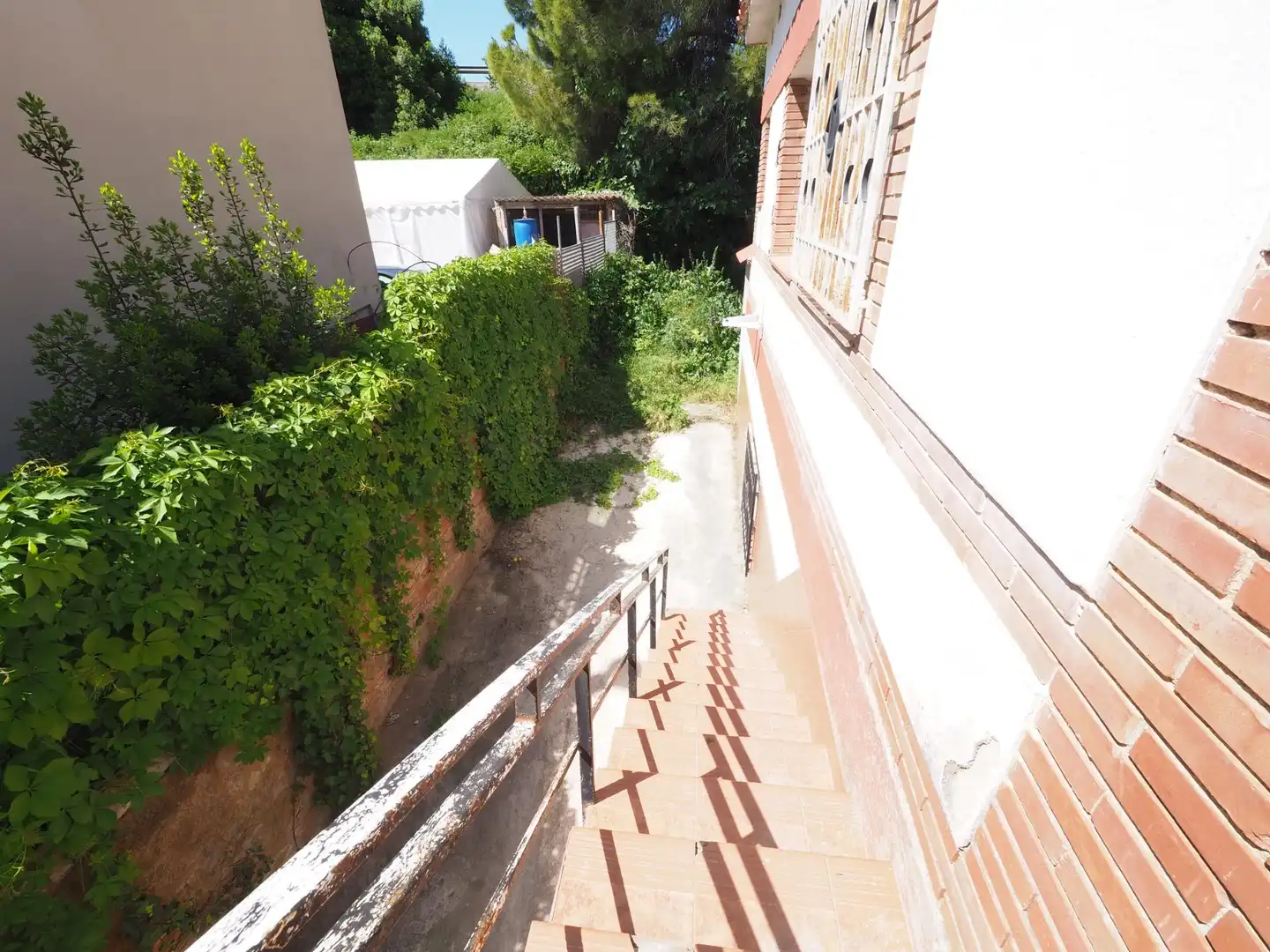 Jardí de Casa o xalet en venda en Masquefa amb Jardí privat i Piscina