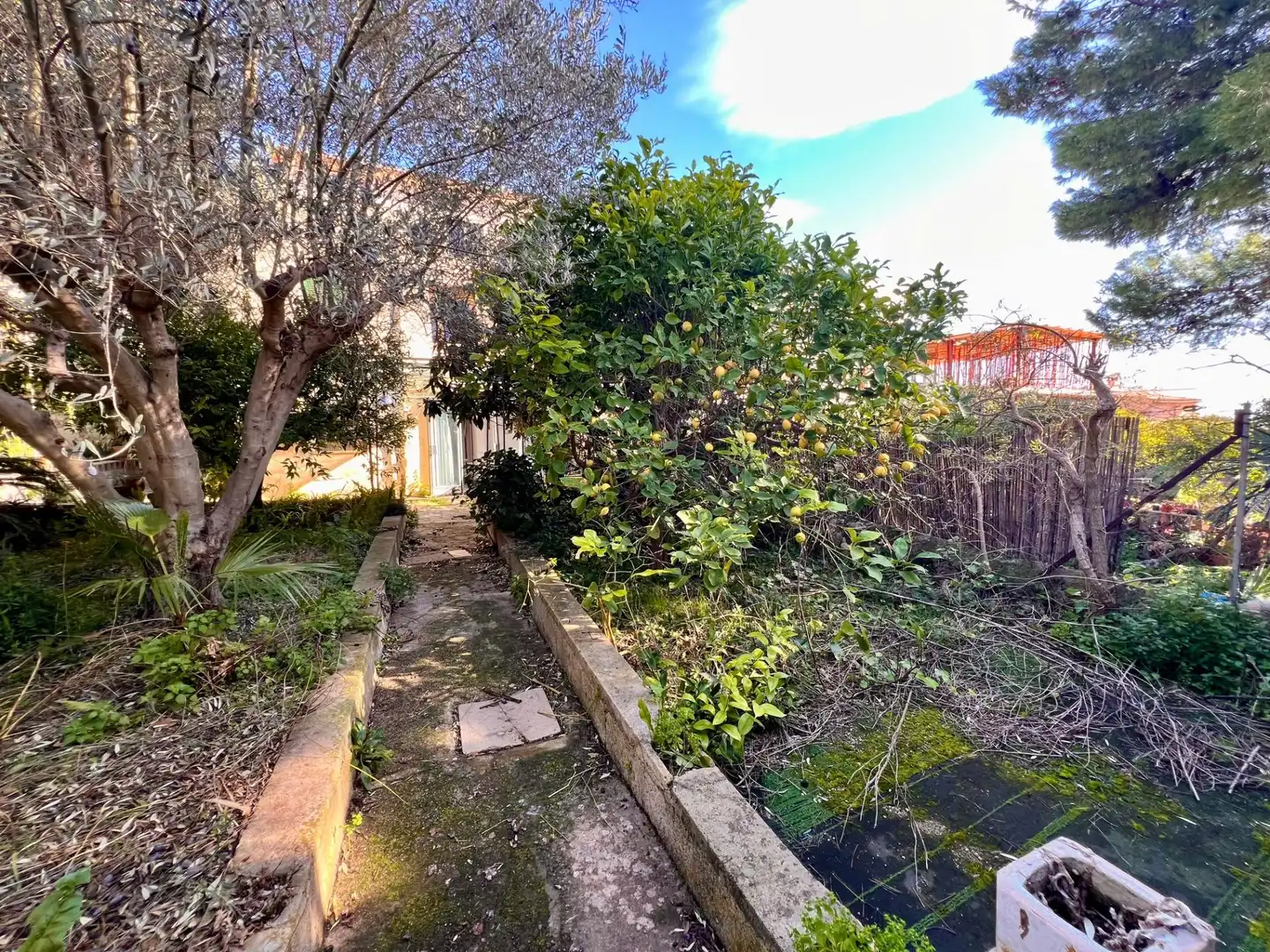 Jardín de Casa o chalet en venta en Selva