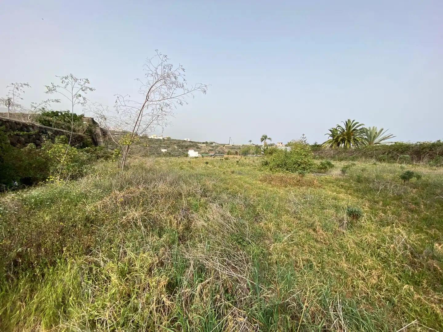 Rural land for sale in Calle la Yedra 59, imagen 8