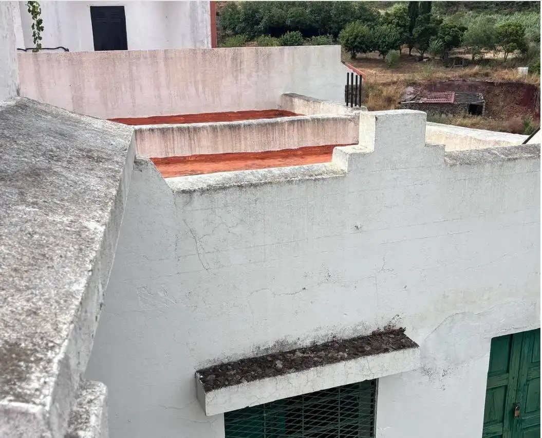Vista exterior de Finca rústica en venta en Gáldar con Trastero