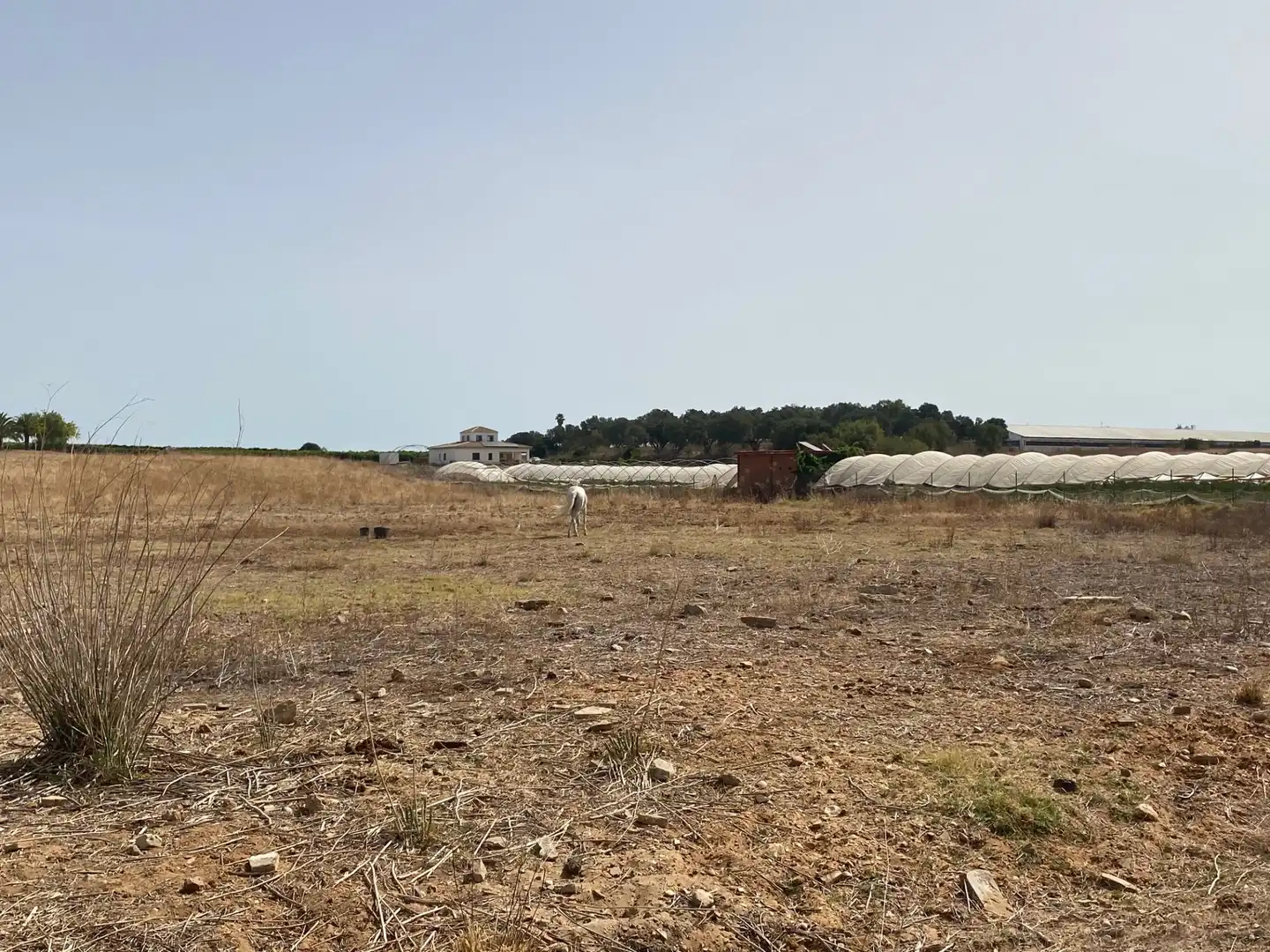 Finca rústica en venta en Aljaraque