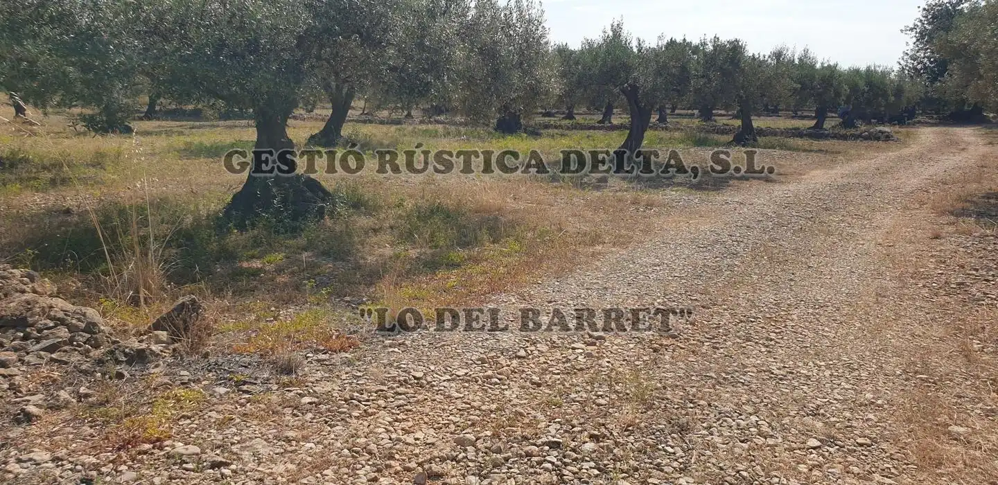 Terreno rústico en venta en Polígono 1, imagen 16
