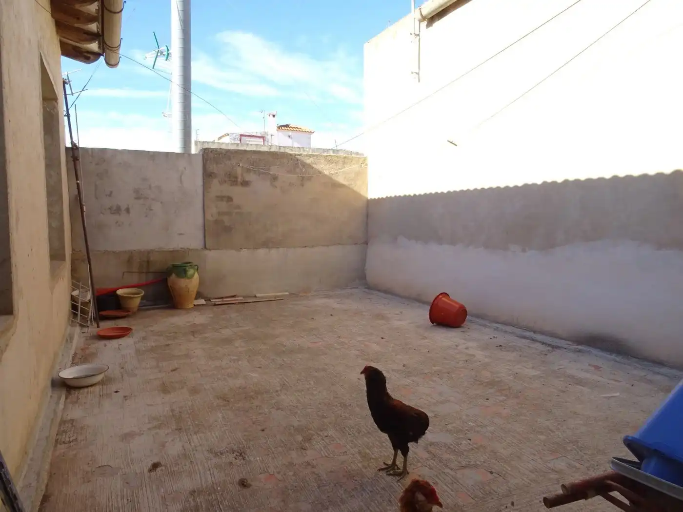 Haus zum Verkauf in Hondón de los Frailes, imagen 10