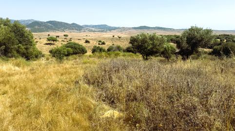 Foto 3 de Terreno en venta en Tarifa ciudad, Tarifa
