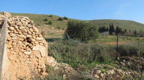 Foto 5 de Terreno en venta en Perín, Murcia