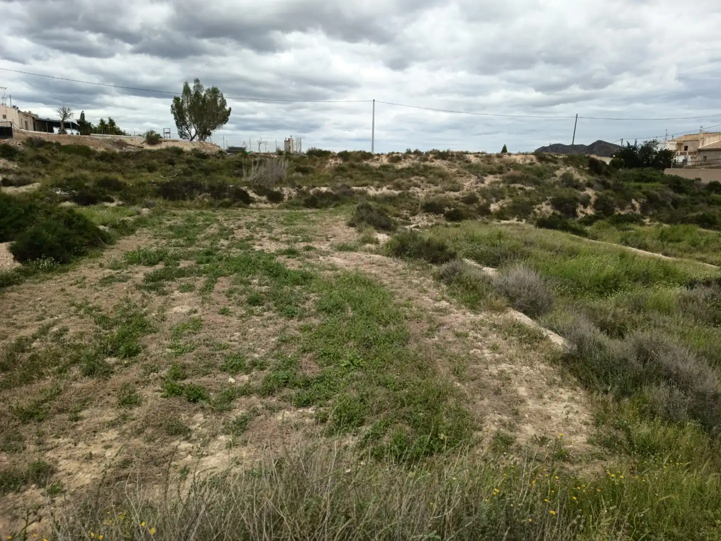 Finca rústica en venda en San Vicente del Raspeig / Sant Vicent del Raspeig