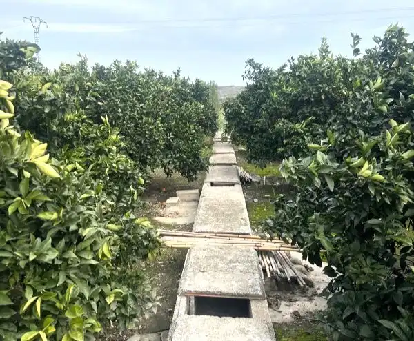 Piso en venta en Perdut, imagen 2