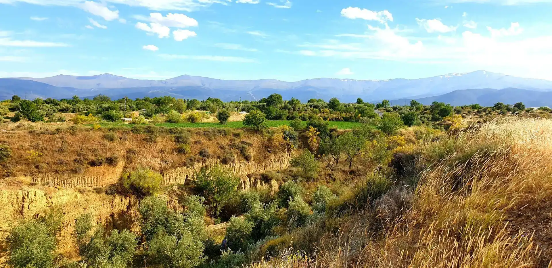 Vista exterior de Finca rústica en venda en Guadix