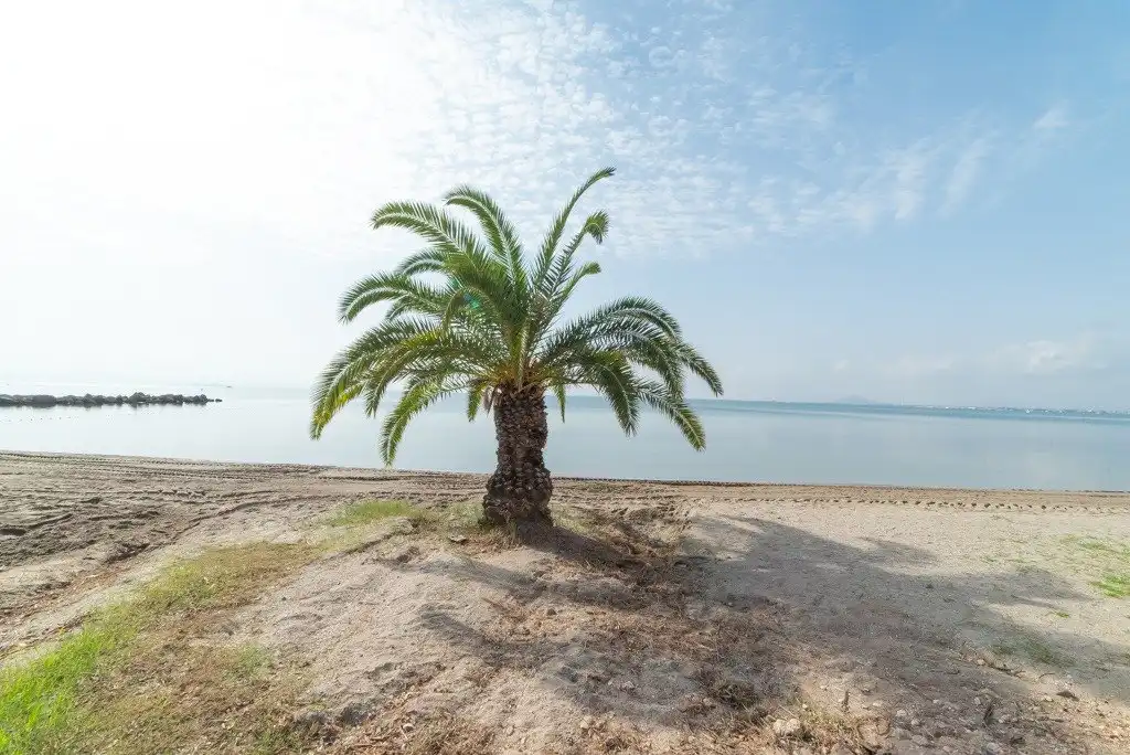 Flat for sale in La Manga del Mar Menor  with Terrace and Furnished