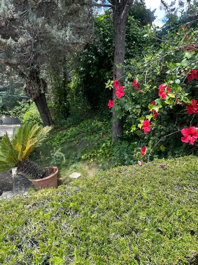Houses for sale in Poniente-Norte - Miralbaida - Parque Azahara