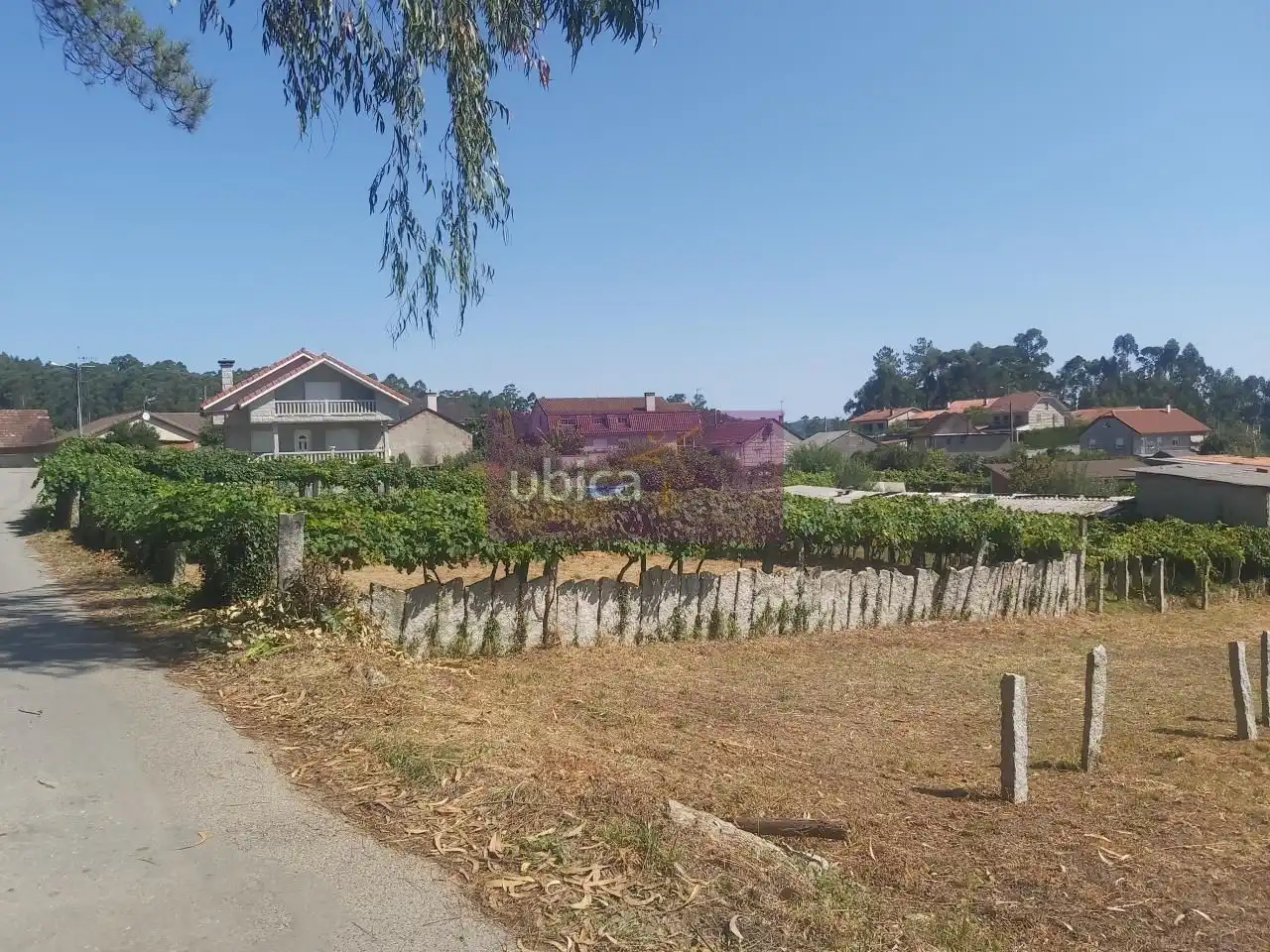 Lands and plots for sale in Salceda de Caselas, imagen 5