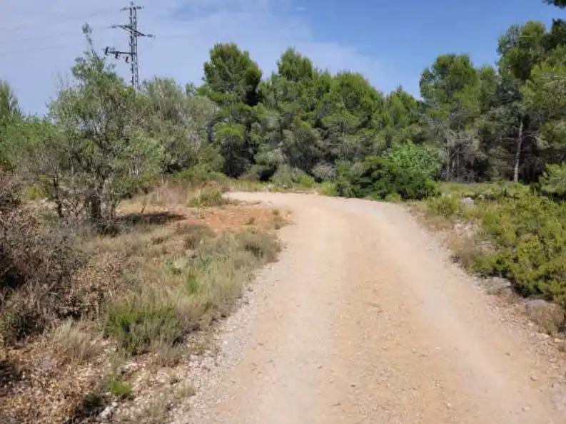 Rural land for sale in Partida de Viñamalata, imagen 7