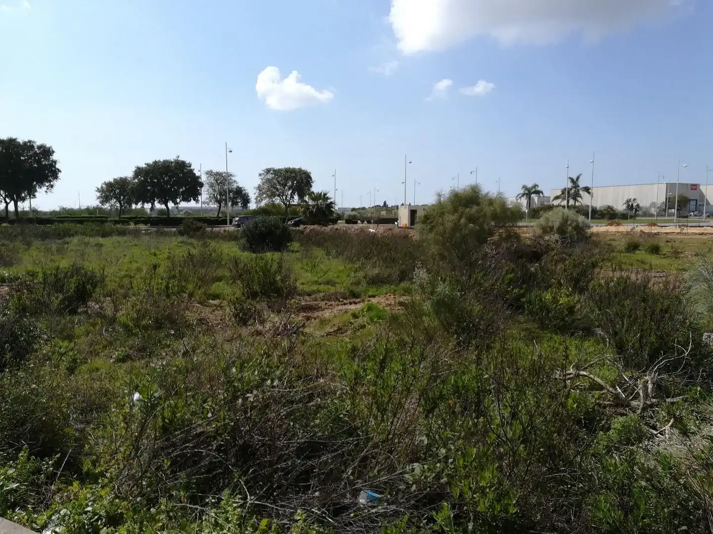 Terreny industrial en venda a El Juncal - Vallealto, imagen 3
