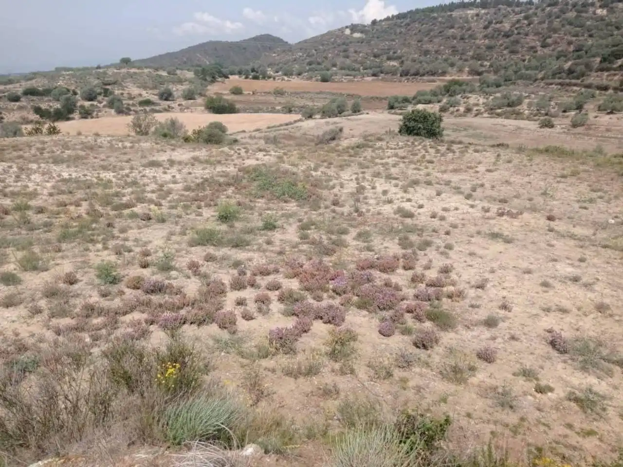 Rural land for sale in Cubells, imagen 4