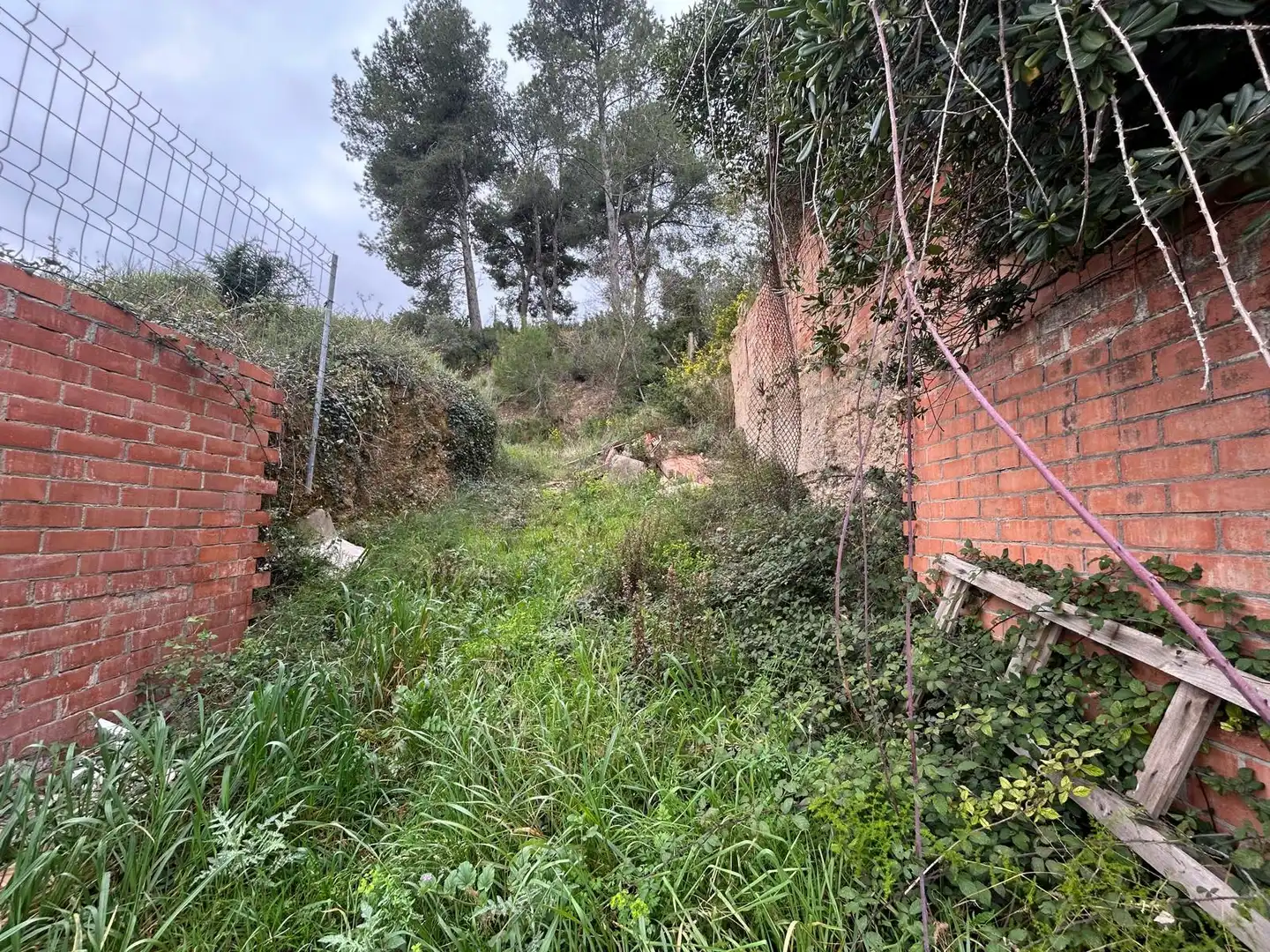 Terreno rustico in vendita a Piera, imagen 3