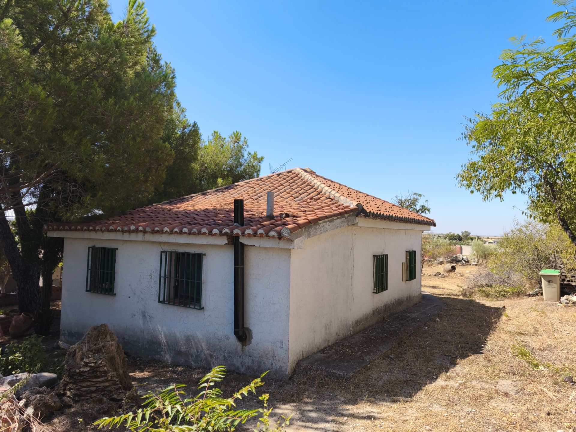 Finca rústica en venta en Carranque