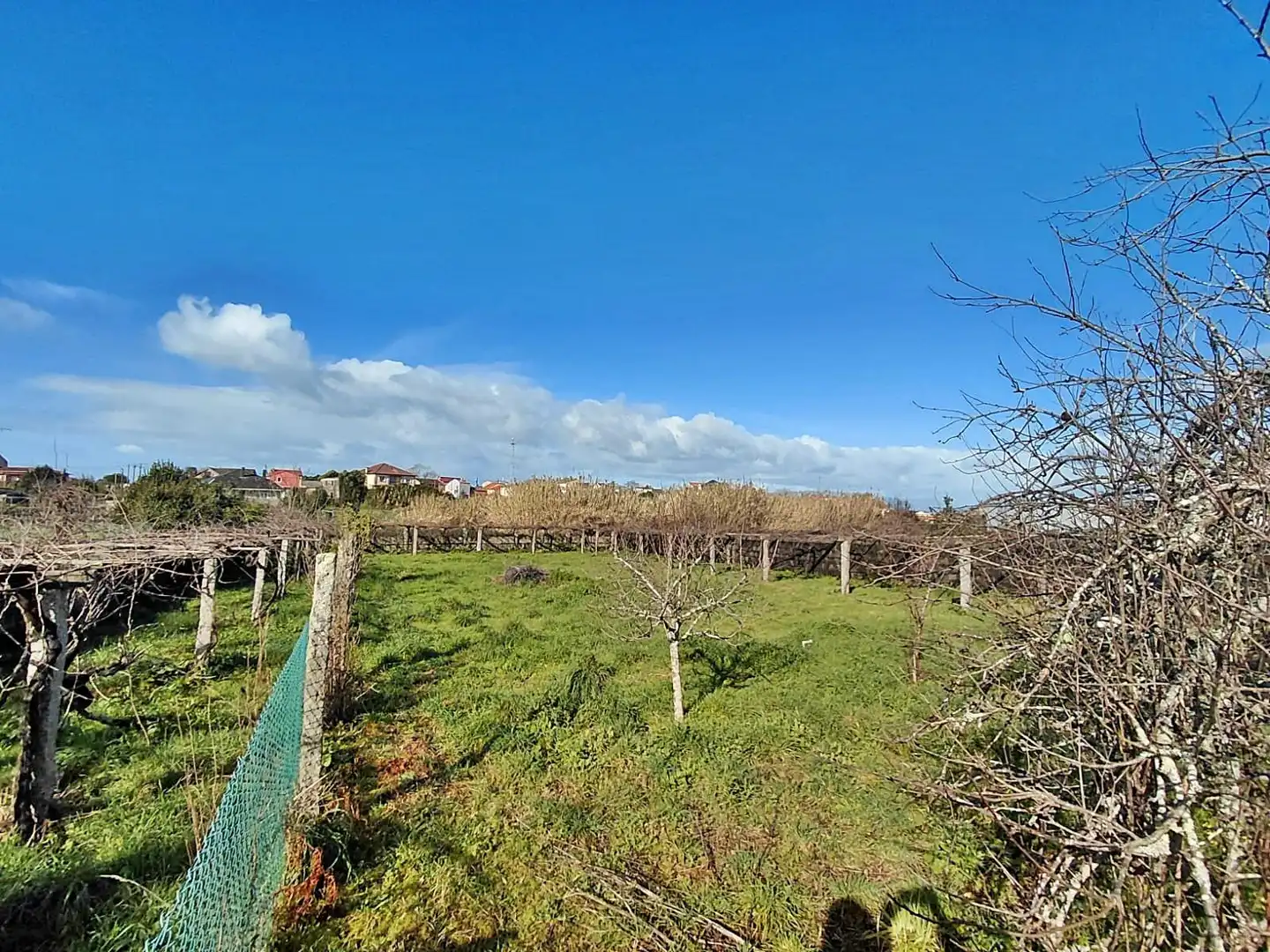Casa o xalet en venda en Vilagarcía de Arousa amb Jardí privat, Terrassa i Traster
