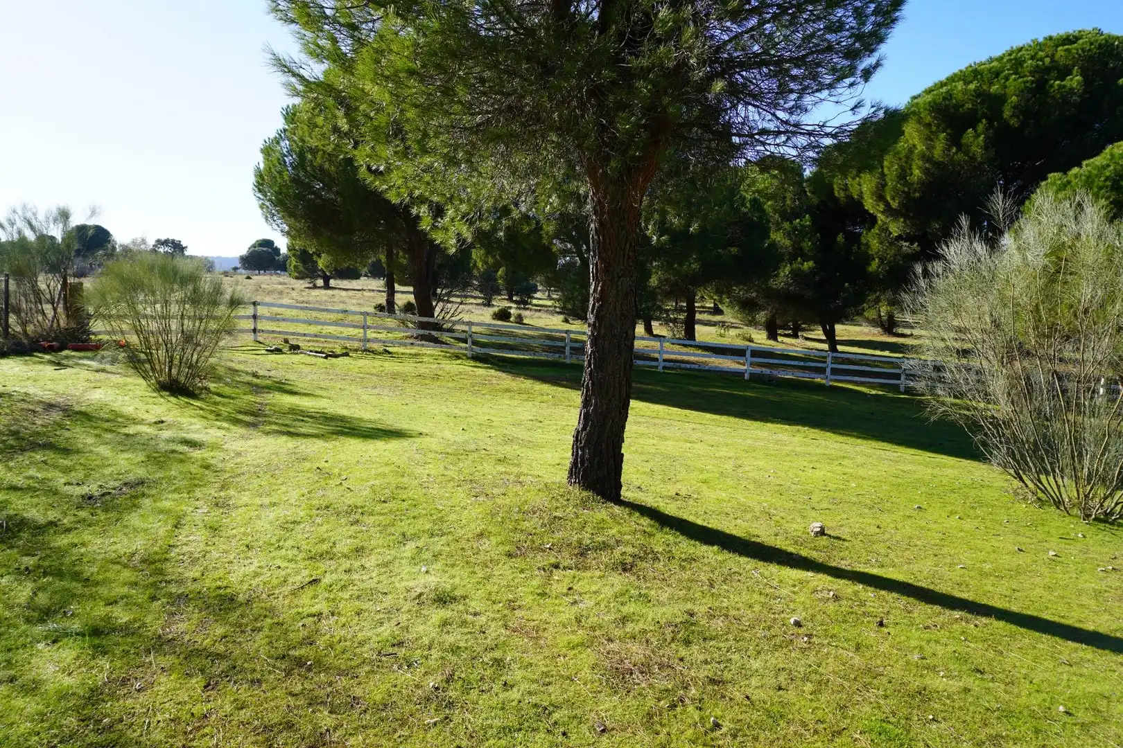 Chalet con piscina en venta en San Martín de Valdeiglesias, imagen 22