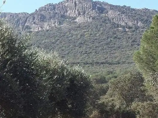 Rustikales Grundstück zum Verkauf in camino Mestanza 1, imagen 10