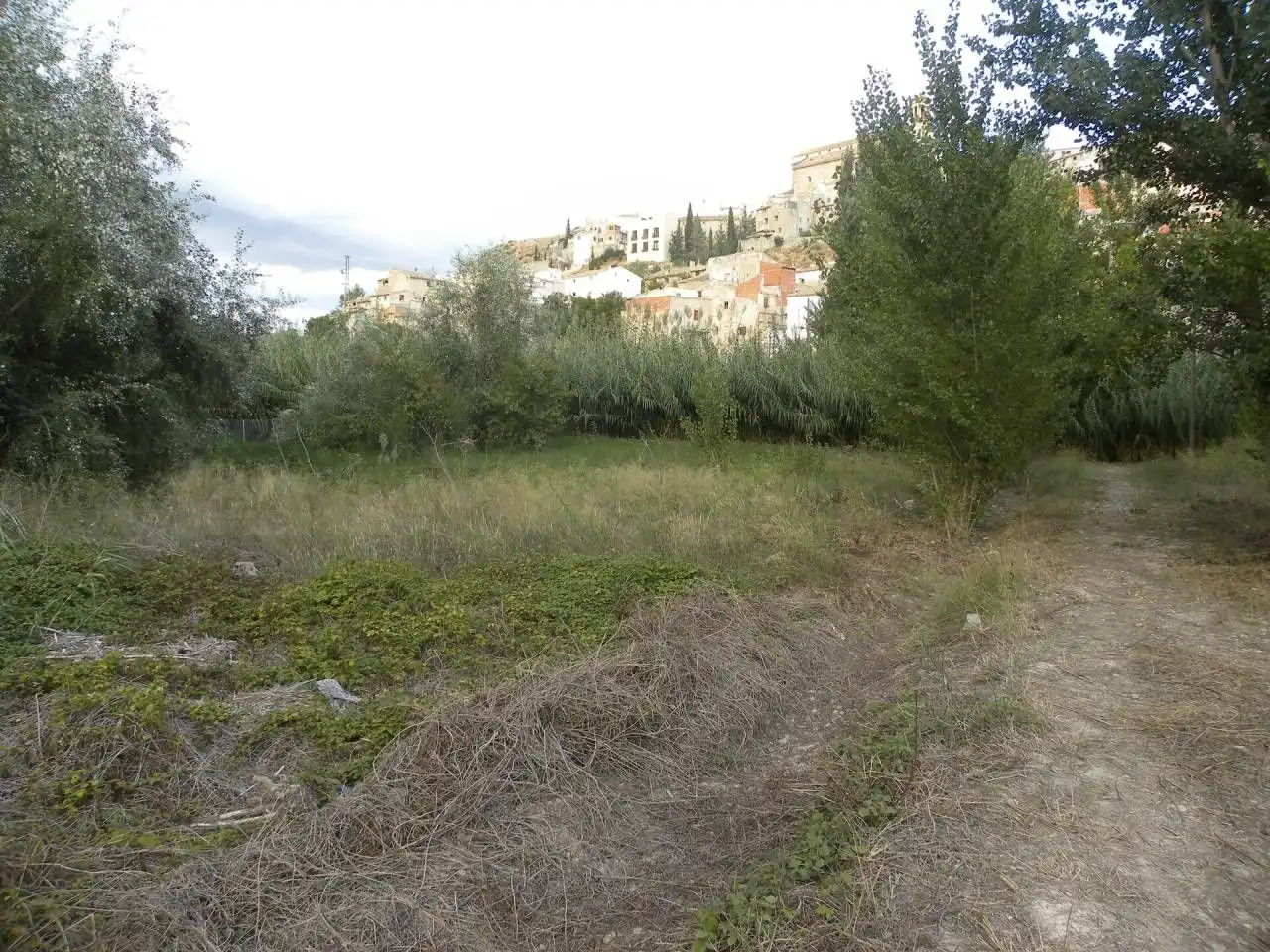 Casa con giardino in vendita a Cehegín, imagen 16