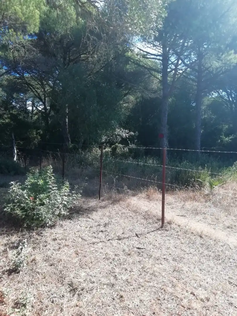 Terreno residencial en venta en Vejer, imagen 5