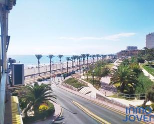 Estudi de lloguer a Avenida Jaime I el Conquistador, Playa Muchavista