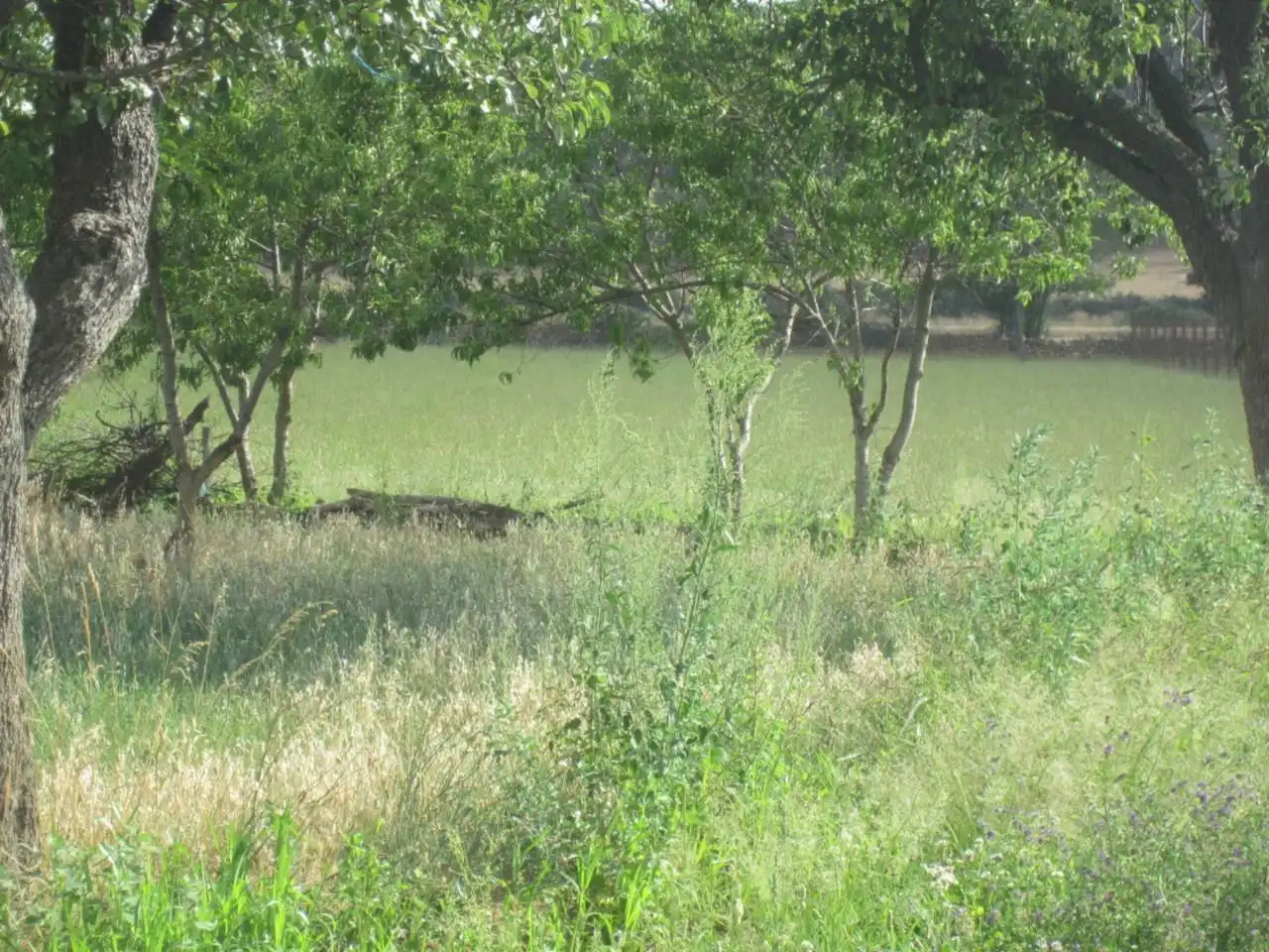 Terreno rustico in vendita a Calle RONDA DEL MEDIODIA, imagen 23