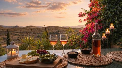 Foto 5 de Casa o chalet en venta en Aguamarga, Níjar