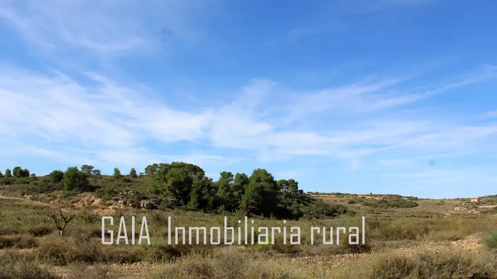Casa rústica en venda a Maella, imagen 18